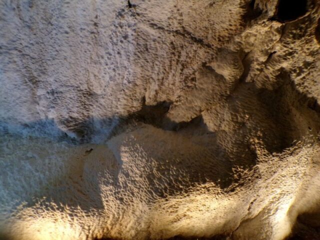 KODAK Digital Still Camera