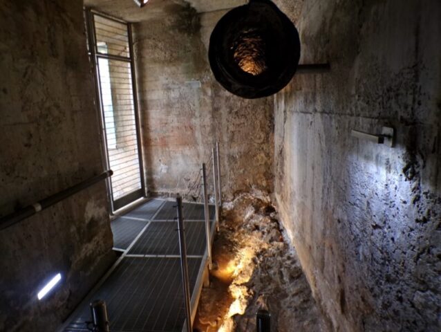 KODAK Digital Still Camera