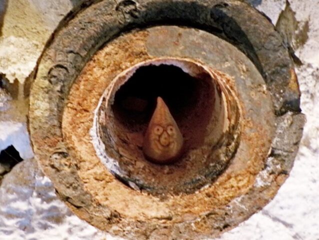 KODAK Digital Still Camera