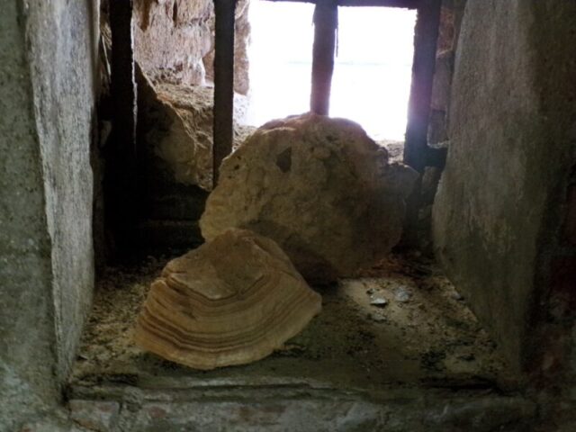 KODAK Digital Still Camera