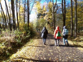 KODAK Digital Still Camera