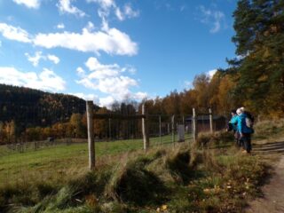 KODAK Digital Still Camera