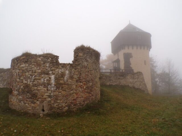 KODAK Digital Still Camera