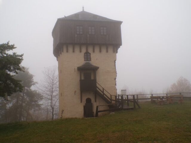 KODAK Digital Still Camera