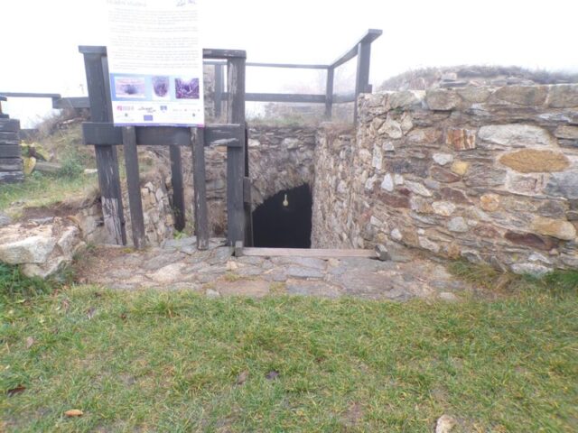 KODAK Digital Still Camera