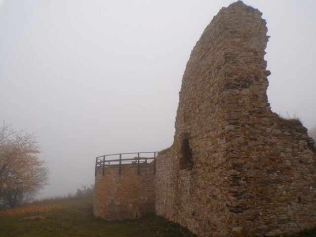 KODAK Digital Still Camera