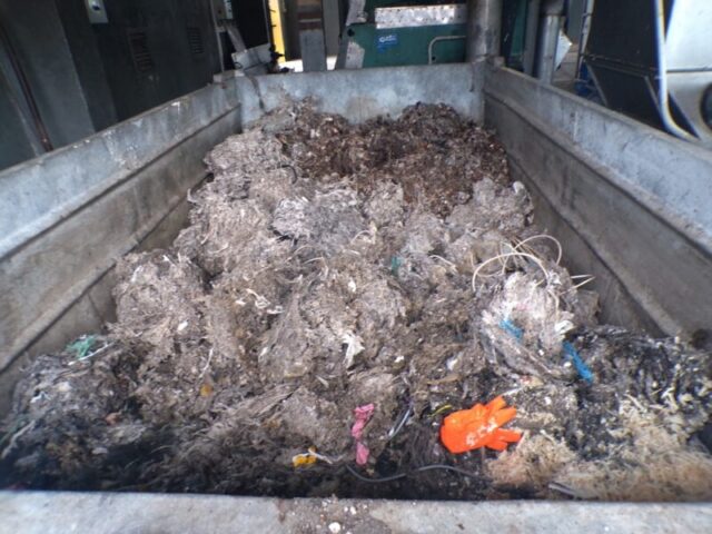 KODAK Digital Still Camera